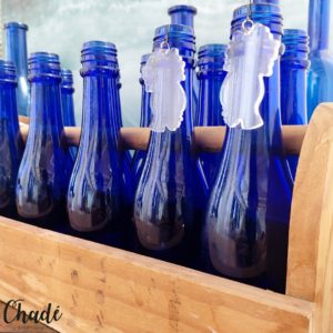 First lady - perspex